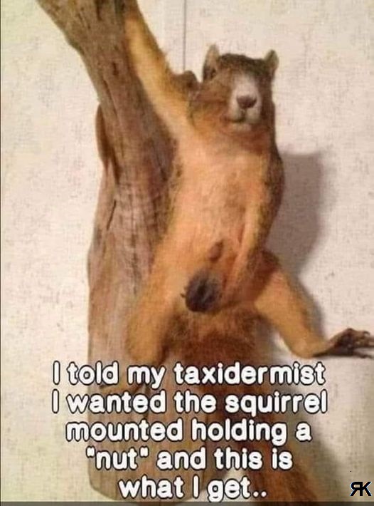 aa.jpg