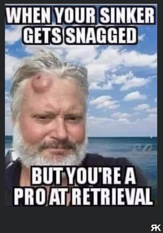aa.jpg