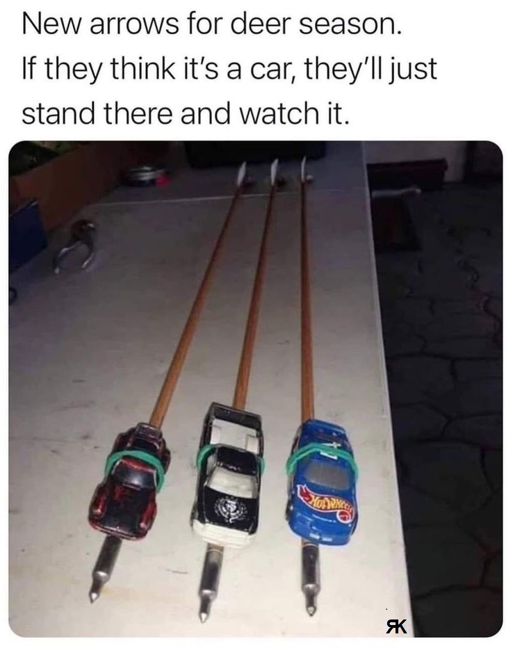 aa.jpg