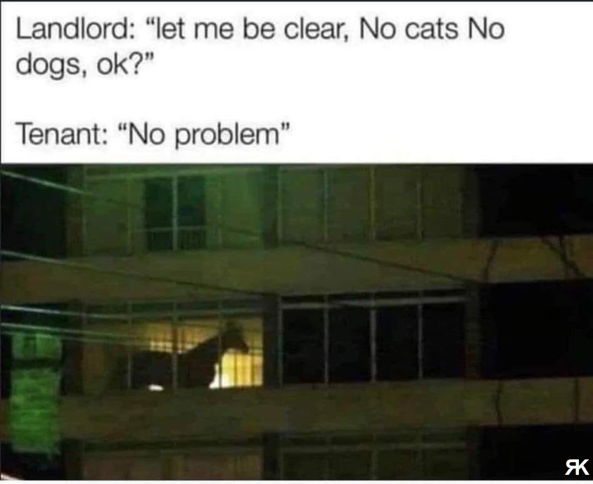 aa.jpg