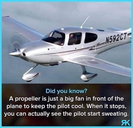 aa.jpg