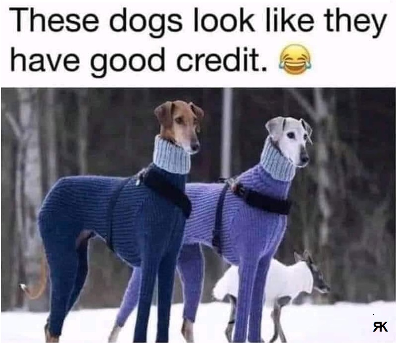aa.jpg