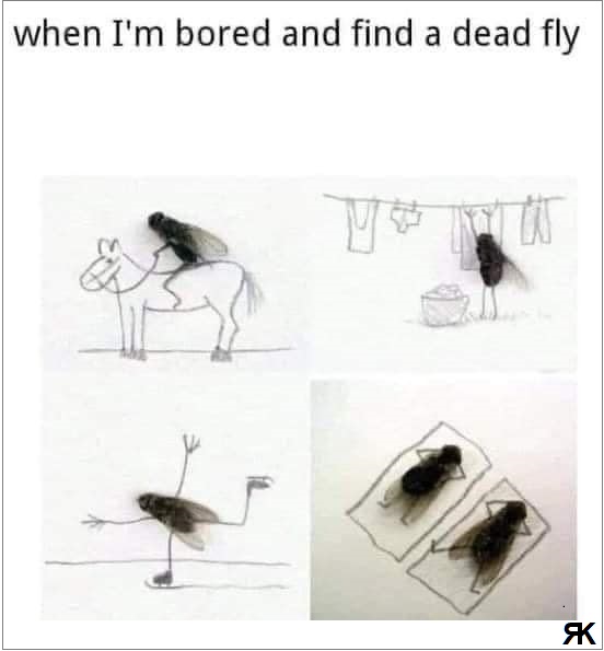 aa.jpg