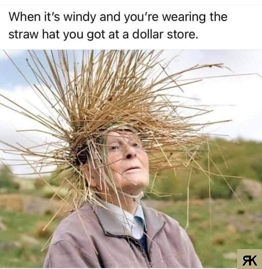 aa.jpg