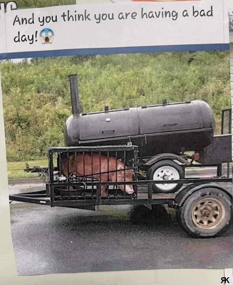 aa.jpg