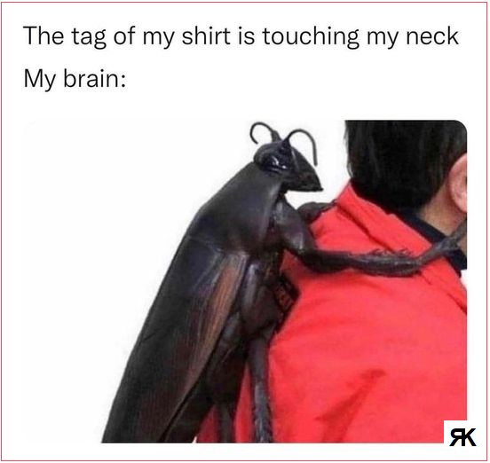 aa.jpg