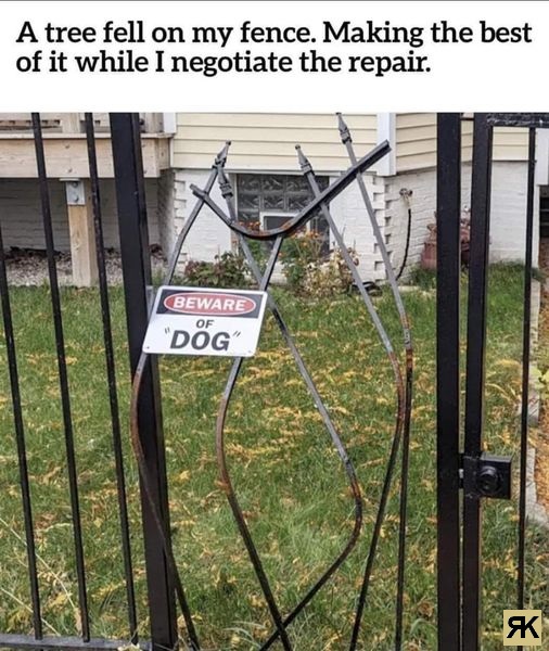aa.jpg