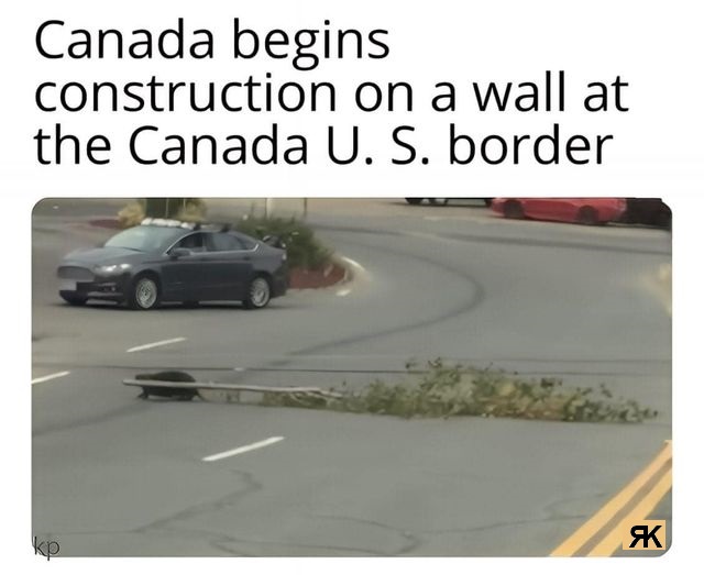 aa.jpg