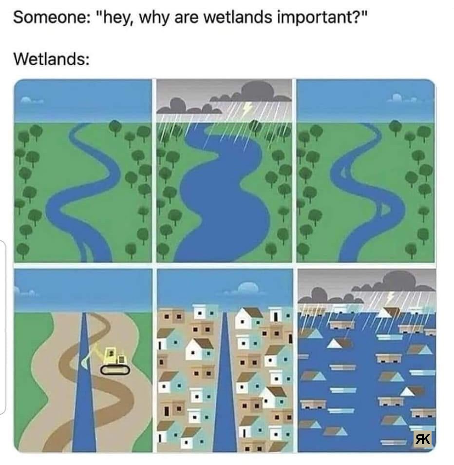 aa.jpg