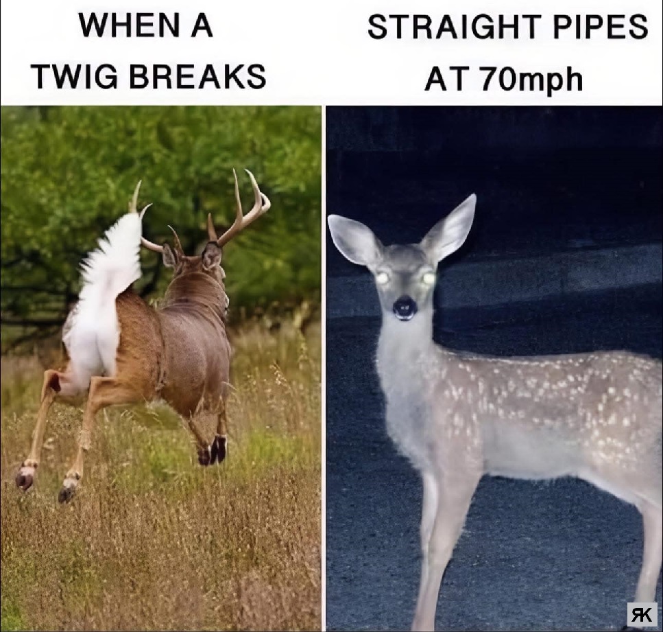 aa.jpg
