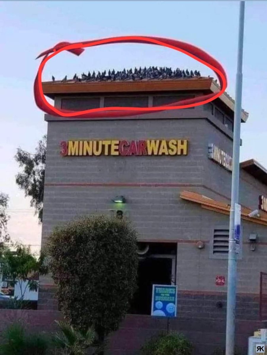 aa.jpg