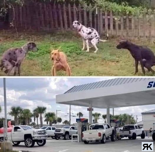 aa.jpg