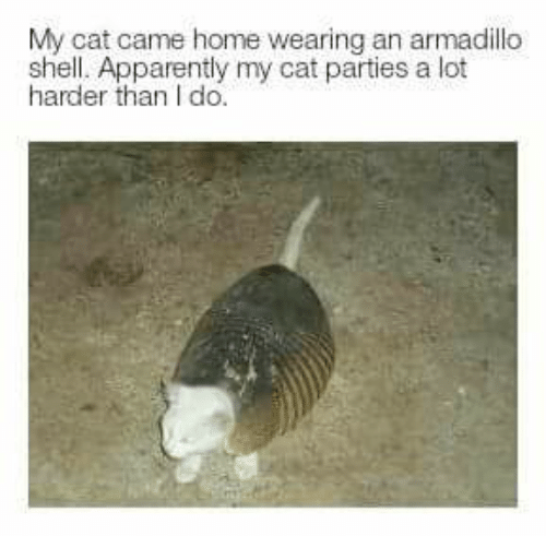 aa.png