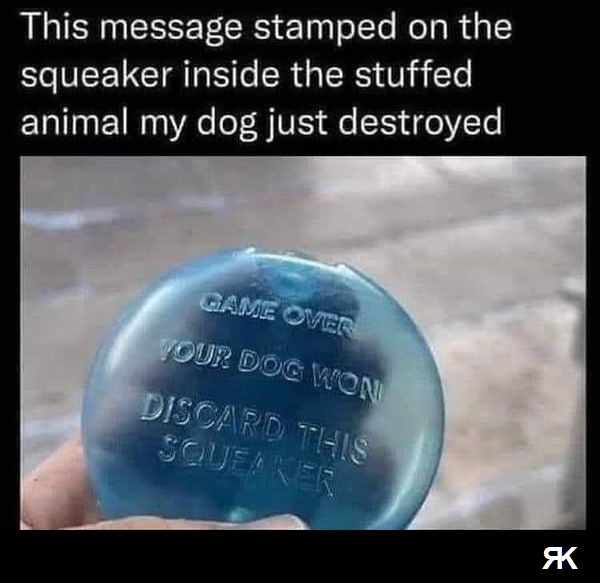aa.png