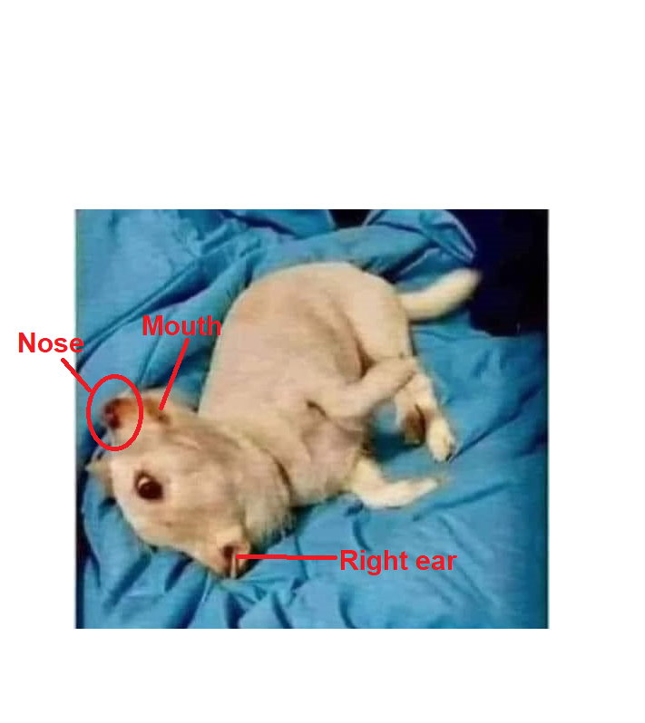 aa.png