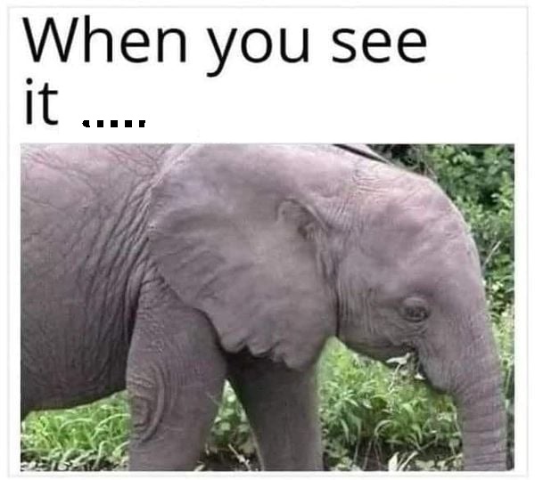 ab.jpg