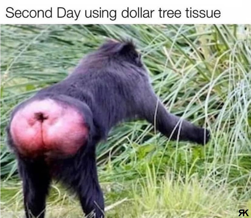 ab.jpg