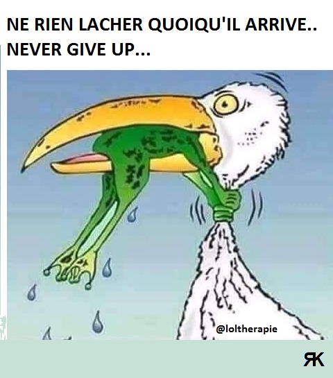 ab.jpg