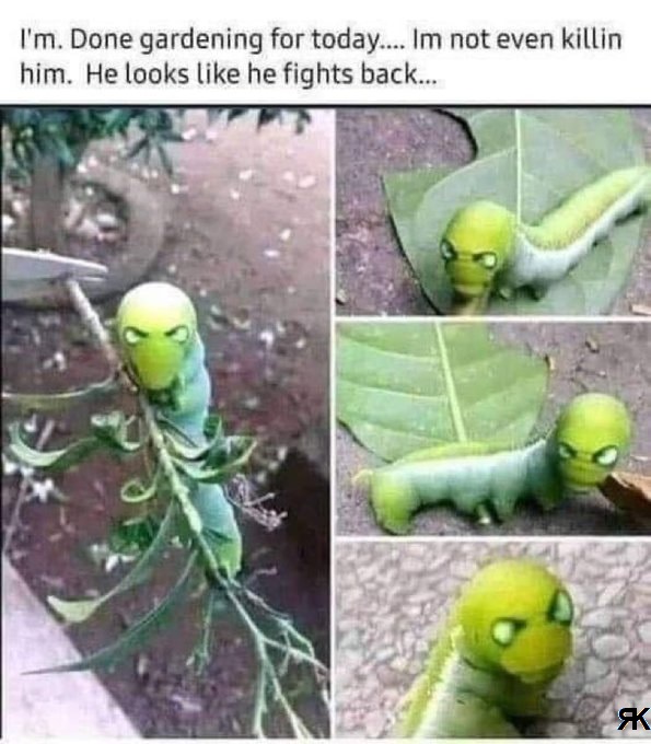 ab.jpg