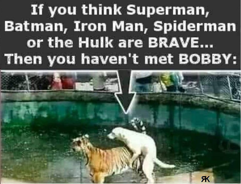 ab.jpg