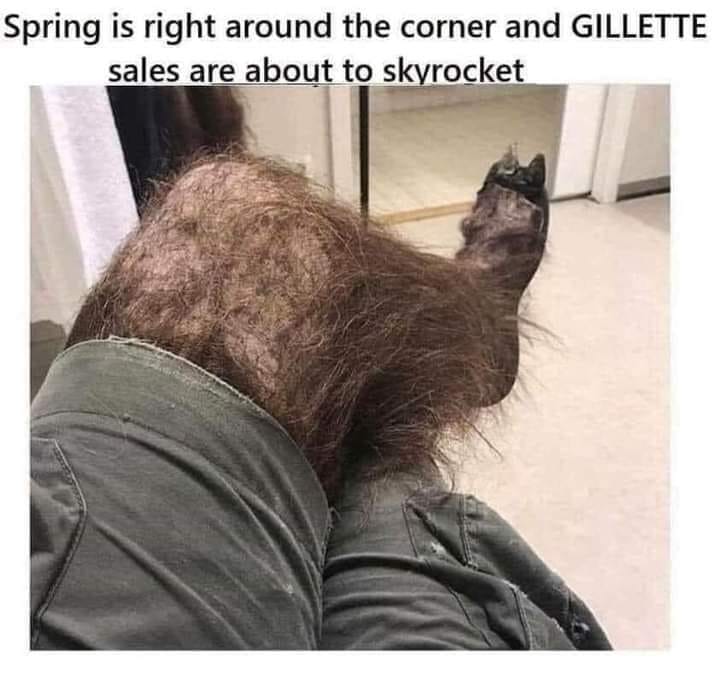 ac.jpg