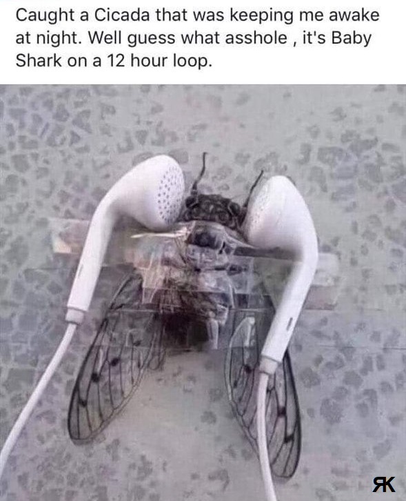 ac.jpg