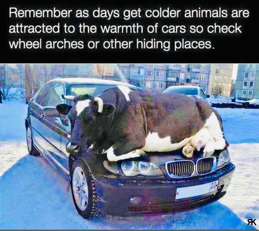 ac.jpg