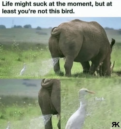 ac.jpg
