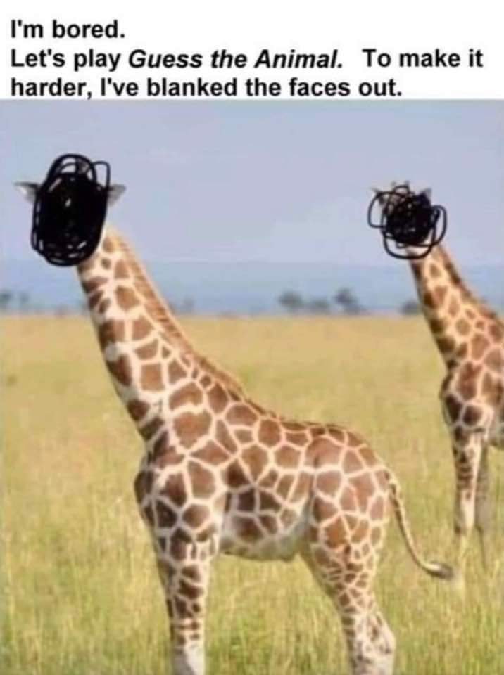 ad.jpg