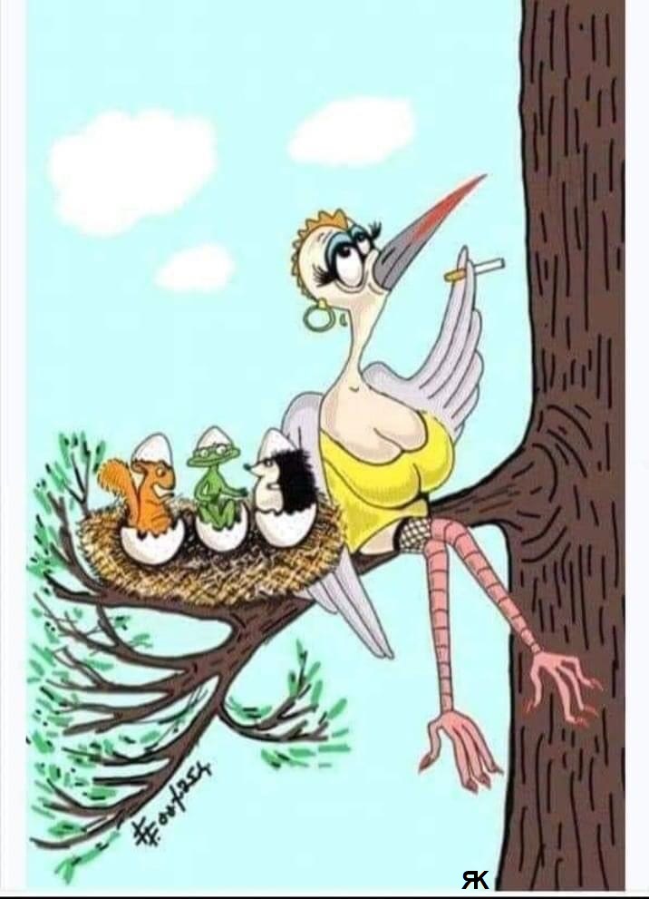 ad.jpg