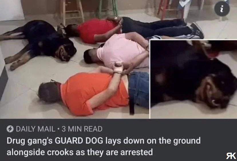 ad.jpg