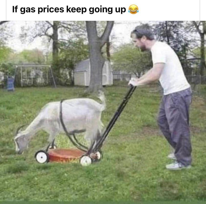 ae.jpg