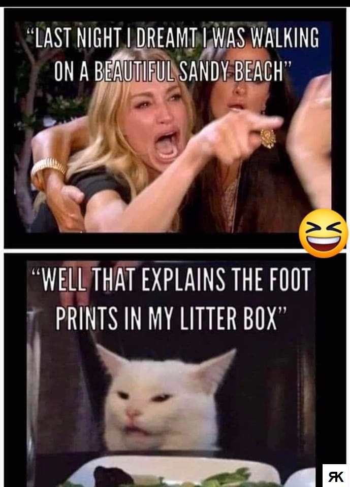 ae.jpg