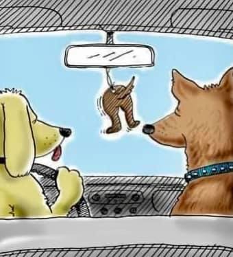 air freshener.jpg