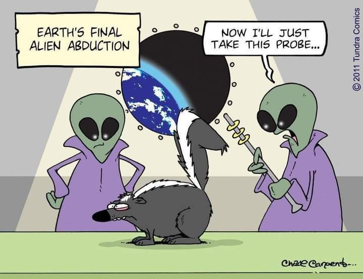 alien probe.jpg