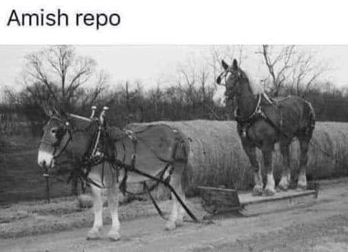 Amish Repo.jpg