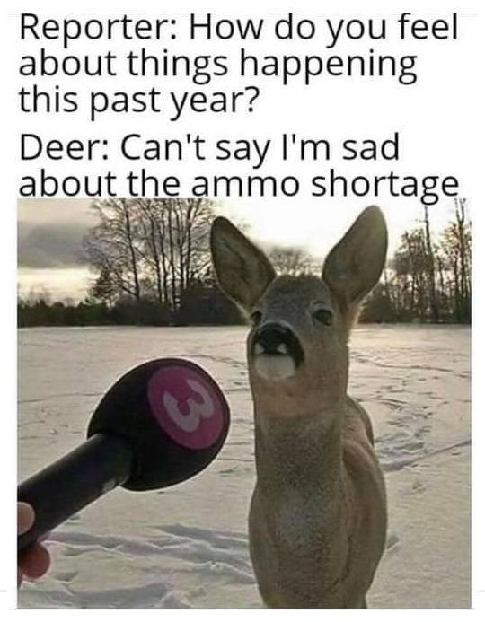 ammo.jpg