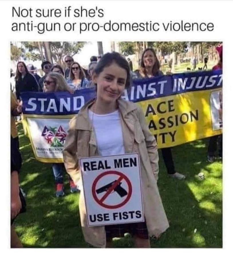 anti gun.jpg