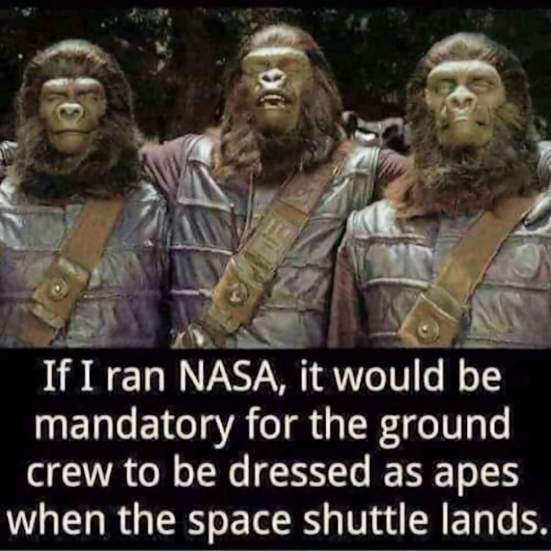 apes.jpeg