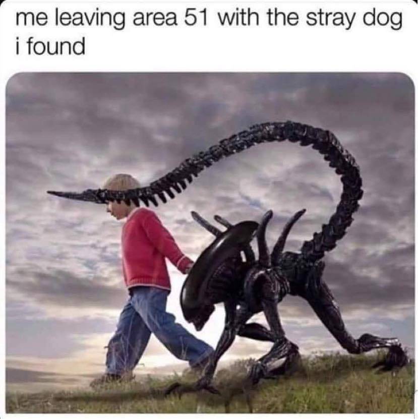 Area 51.jpg