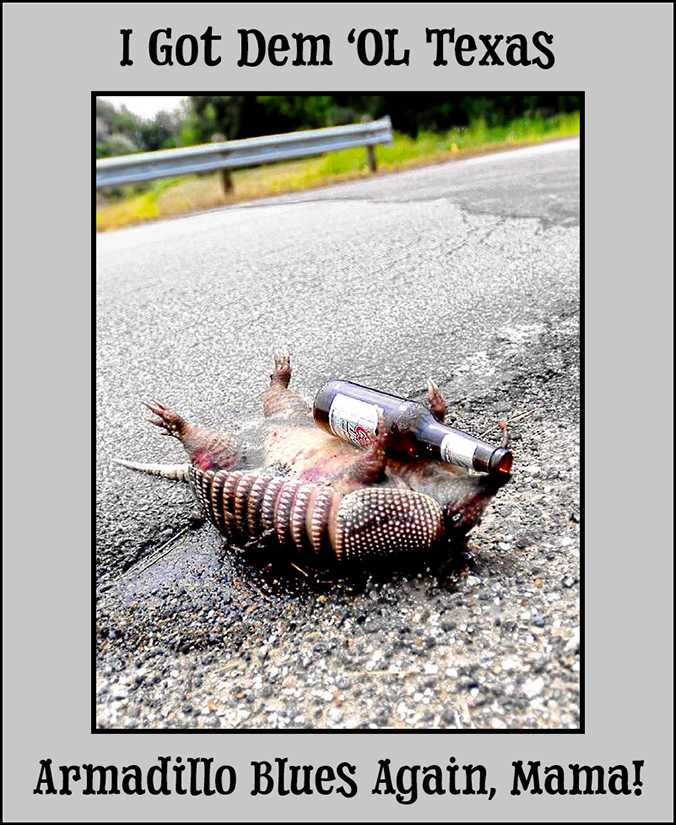 Armadillo Blues.jpg