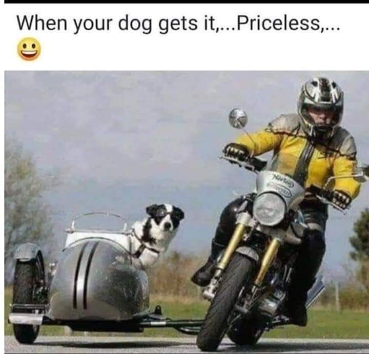 B379D082-07A8-4C37-BF0E-C03DE3CFEB0F.jpeg