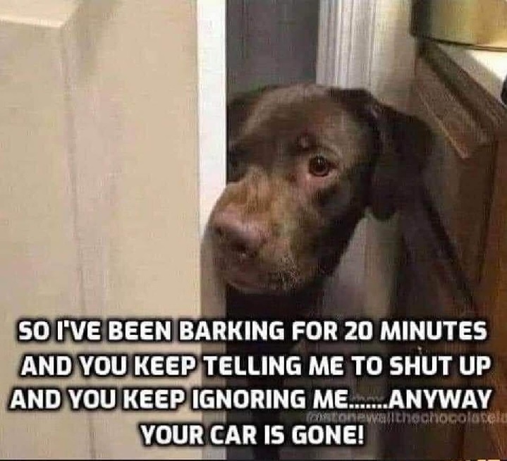 barking.jpg