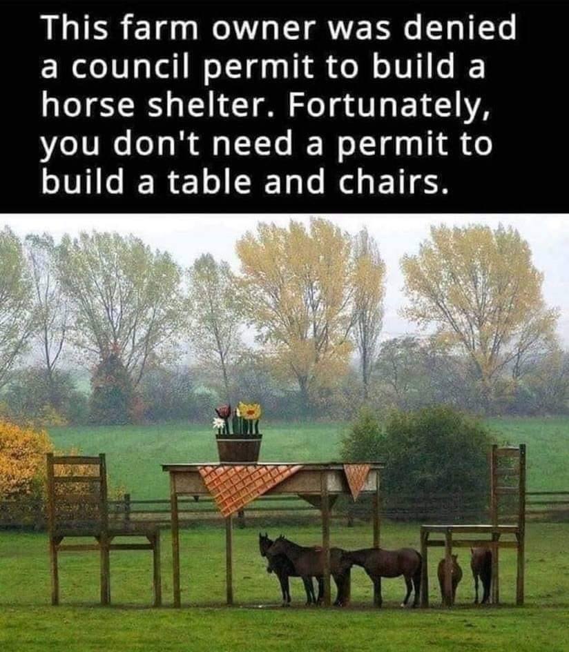 barn.jpg
