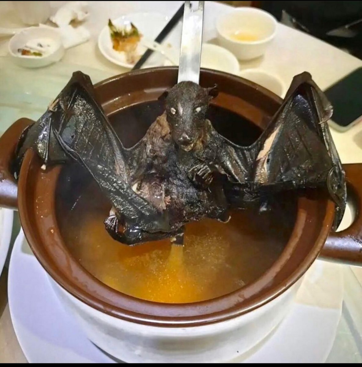 Bat soup.jpg