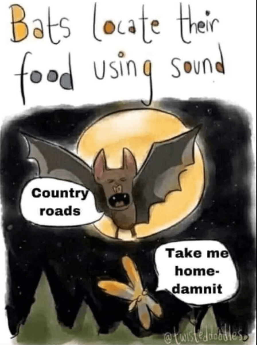 bats.png