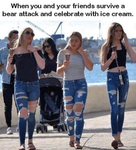 bear attack.jpg