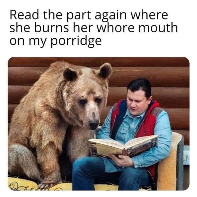 bear.jpeg