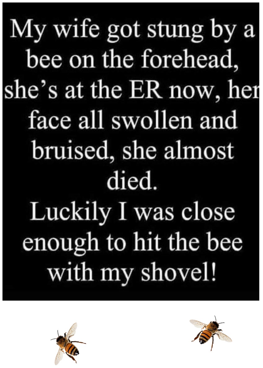 bee sting.jpg