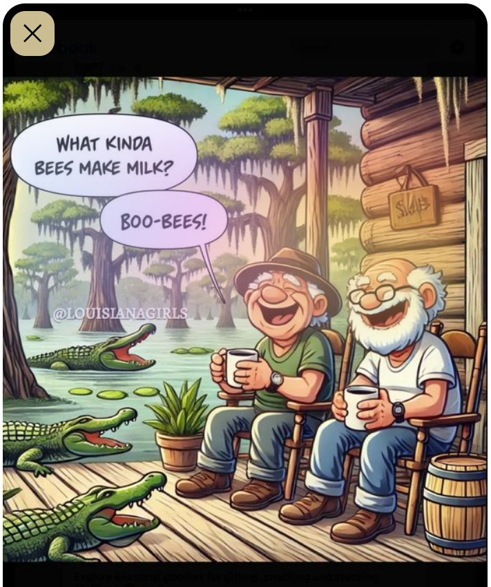 bees and  boob bees.png
